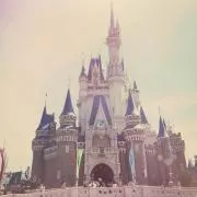 ❤︎