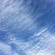 ジャスミ〜ンの画像