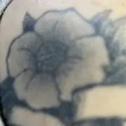 09の画像
