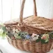 さとんの画像