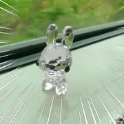 リルの画像