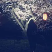 ほの画像