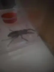 少しずつ発送再開しております。の画像