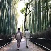 tanaka80