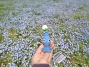 つよしの画像