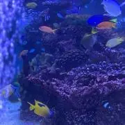 ゆとり