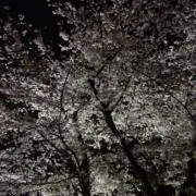 シバ