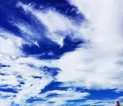 mszの画像