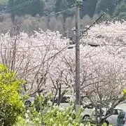 igum.の画像