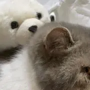 yukiの画像