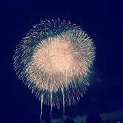春華