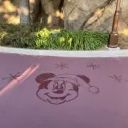 サボさんの画像