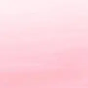 ぬぬの画像