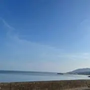 まとめて購入割引します！の画像