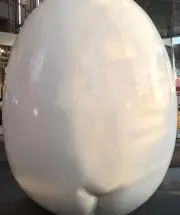 しょうけんの画像