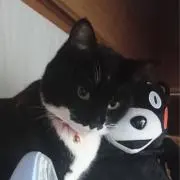 てん