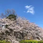 ともくみの画像