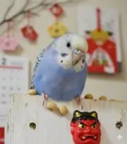 アサひろの画像