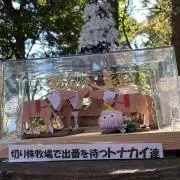 メイの画像
