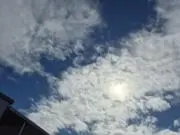 ねこの画像