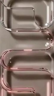 キウイの画像