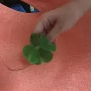 レンゲの画像