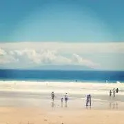 チロの画像