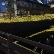 ryotaiの画像