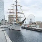 ゴマちゃんの画像