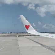 みずなの画像