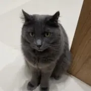○○○さんの奴隷の画像