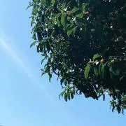 na.の画像