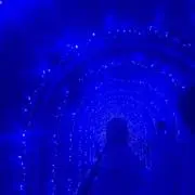 上等の画像