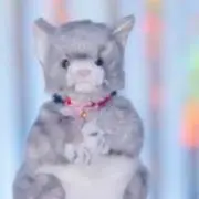 まさ
