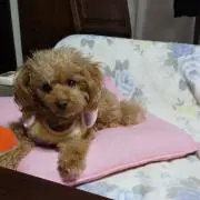 HIROKO