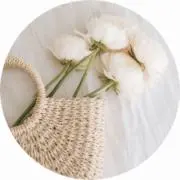 ハシビラ818の画像