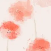 さばとら