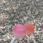 鳩の画像