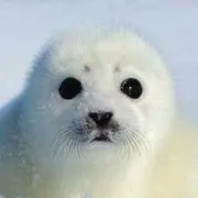ぽかり