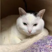ひで14の画像