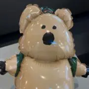 ぴしめりの画像