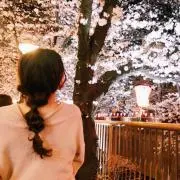 paroの画像