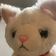 かいちゃん