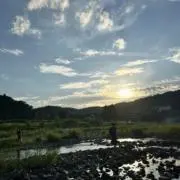 けけの画像