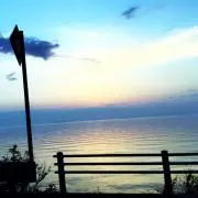 ぶちょーの画像