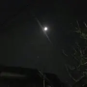 こん