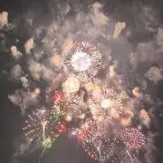 はなびーんの画像