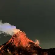 ####の画像