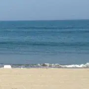 yucari☆の画像