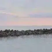 ソルトの画像